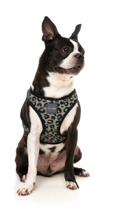Savanna Step In Harness - FINAL SALE NO RETURNS OR EXCHANGES